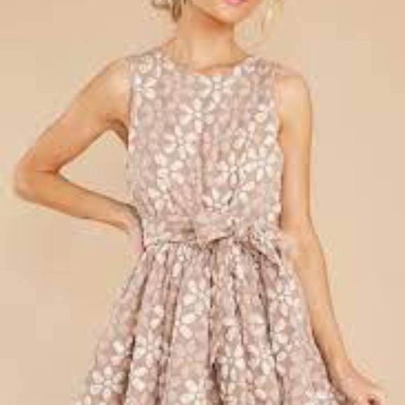 Wink And A Smile Blush Floral Print Dress - Picture 3 of 3